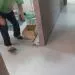 Ламинат Quick-Step U1300 Элигна (Eligna) 32 класс влагостойкий ВЕНГЕ ИНТЕНСИВНЫЙ